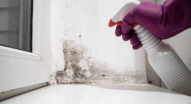 Best Sewage cleanup and water damage restoration  in USA